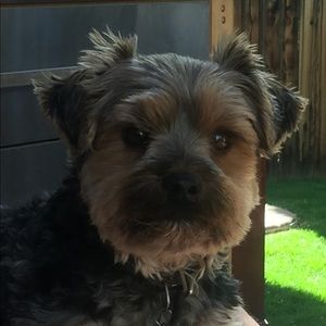 Meet your Posher, Michele